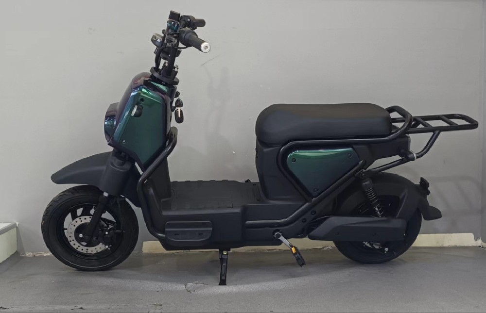 B1 豪华款电动车